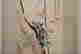 item-131029718=6