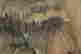 item-131029720=5