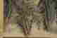 item-131029720=7