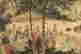 item-131029721=8