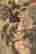 item-131029721=9