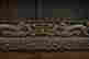 item-131029733=10