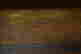 item-131029733=12