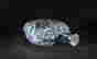 item-131029847=4