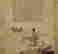 item-131032108=5