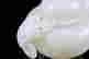 item-131032326=5