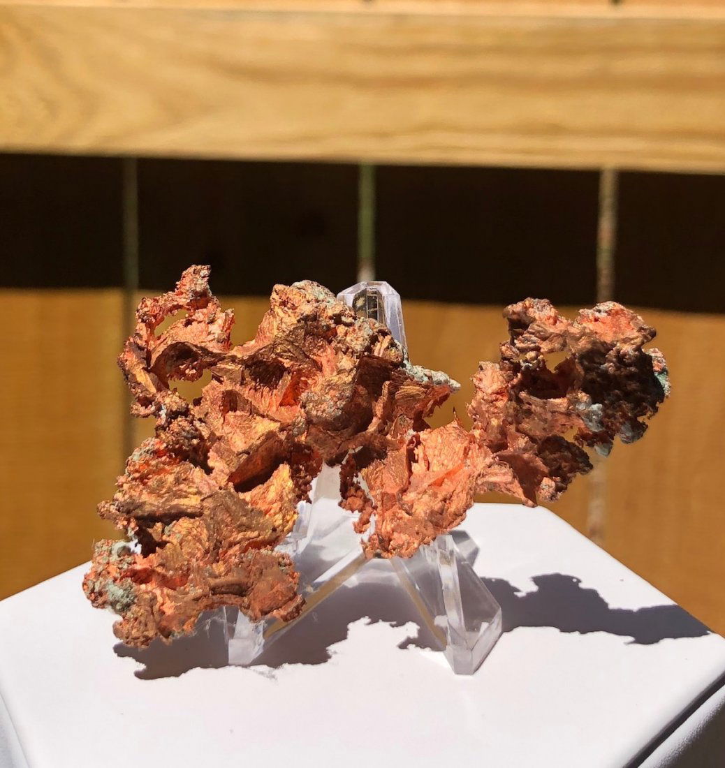 Copper Specimen (1 of 2)