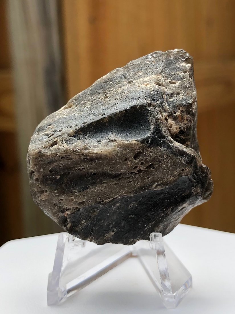Darwin Glass Tektite: Darwin glass is a form of impactite/tektite from the Darwin Crater near Mount Darwin. West Coast, Tasmania. 27.3 Grams.
