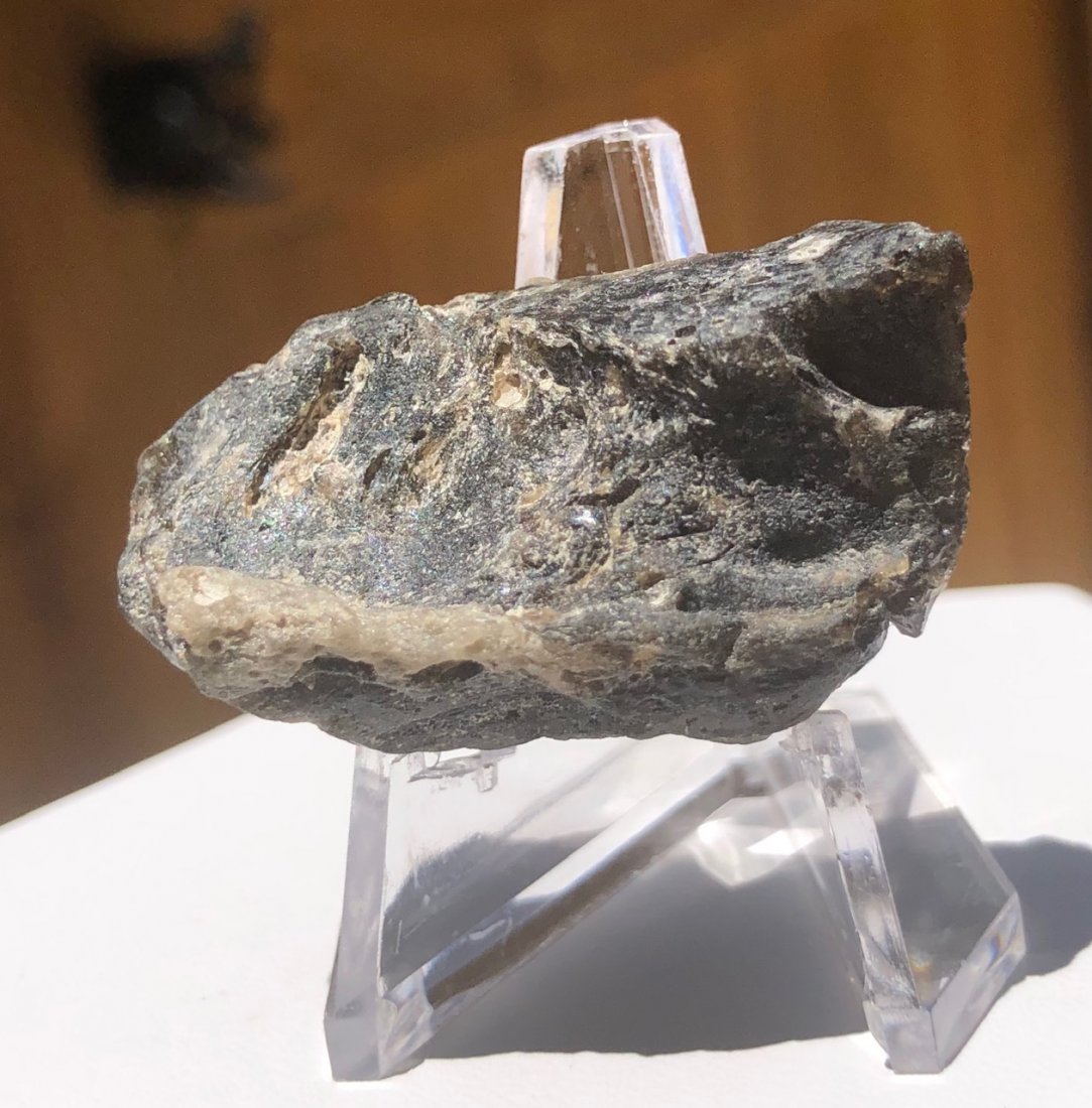 Darwin Glass Tektite: Darwin glass is a form of impactite/tektite from the Darwin Crater near Mount Darwin. West Coast, Tasmania. 11.8 Grams.