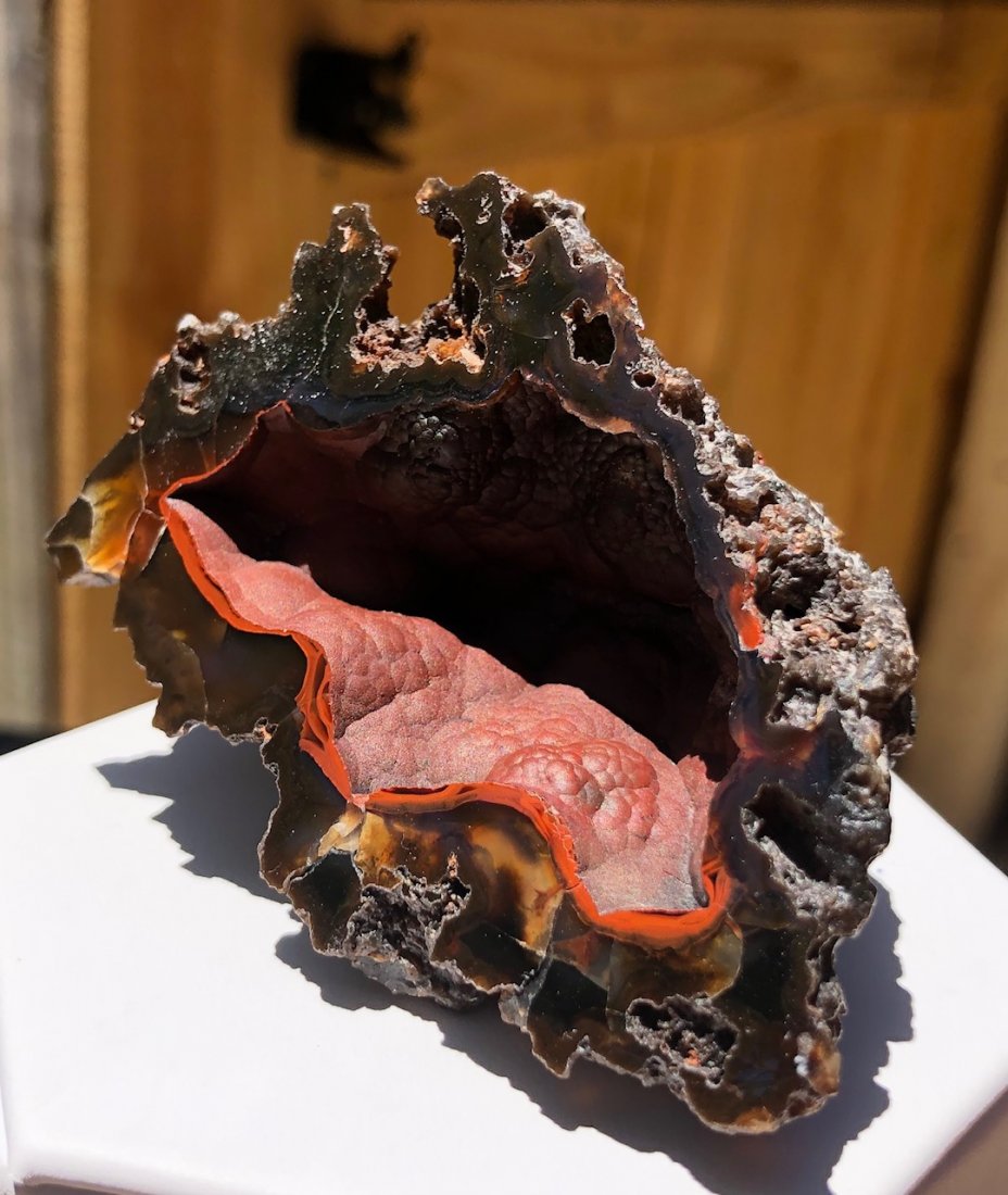 Red Fox Agate Geode Half: "Red Fox" Agate geode half. These rare hematite included geodes are very hard to attain. Most specimens are UV reactive under various lighting. Argentina. 93 Grams. Approximately 75mm X 50mm X 40mm.