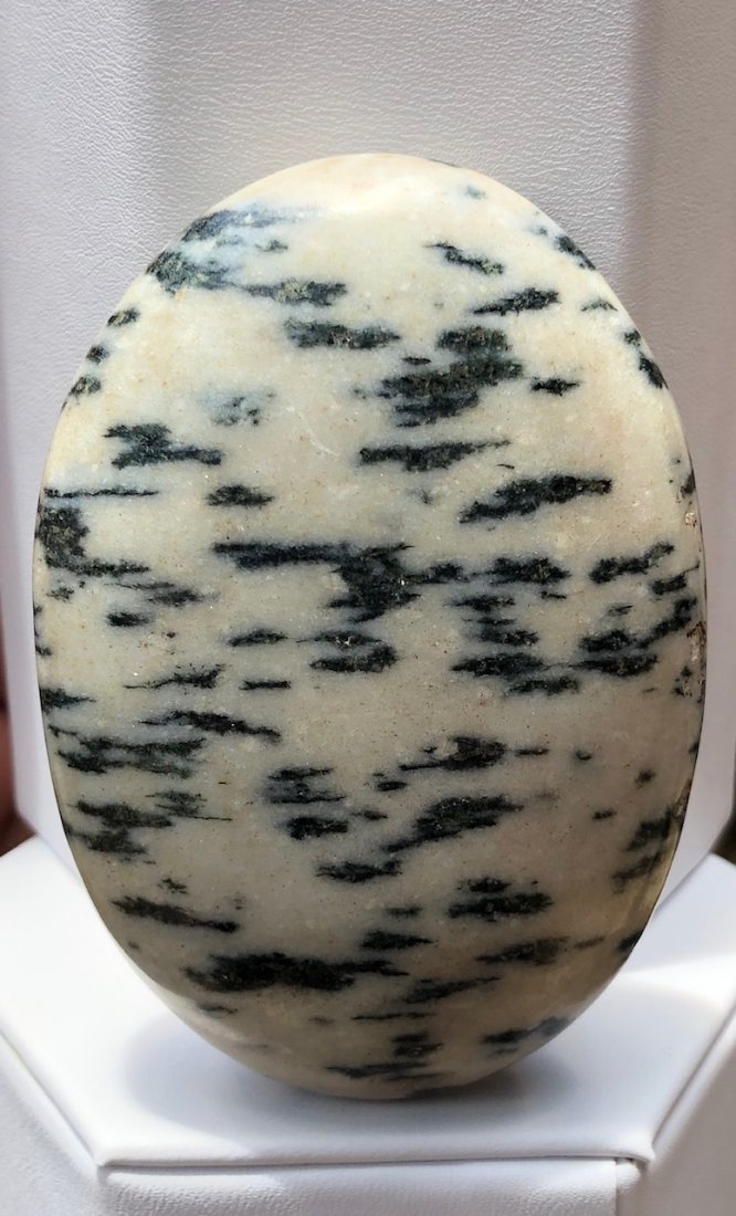 Zebra Stone Palm Stone: Zebra stone palm. 80mm X 55mm X 25mm 174 Grams.
