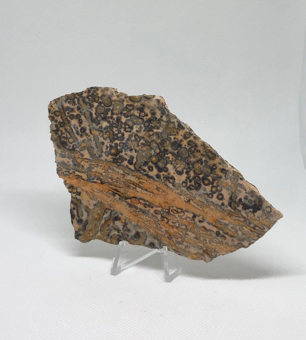 Leopard Skin Jasper Slab: Nice slab of leopard skin jasper approx 5" x 3" non-uniform shape. Unpolished. PLEASE NOTE! All slabs are photographed wet to show detail. AS ALWAYS WE OFFER IN-HOUSE SHIPPING VIA USPS FLAT RATE SHIPP