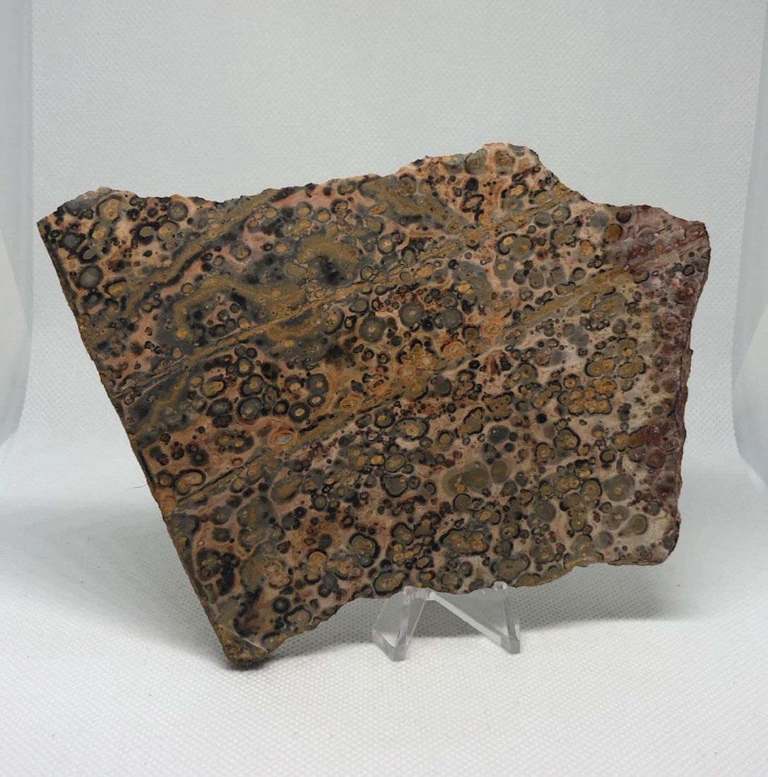 Leopard Skin Jasper Slab: Nice sized slab of leopard skin jasper. Approx 5.5" x 3.5". Unpolished. PLEASE NOTE! All slabs are photographed wet to show detail. AS ALWAYS WE OFFER IN-HOUSE SHIPPING VIA USPS FLAT RATE SHIPPING, NO