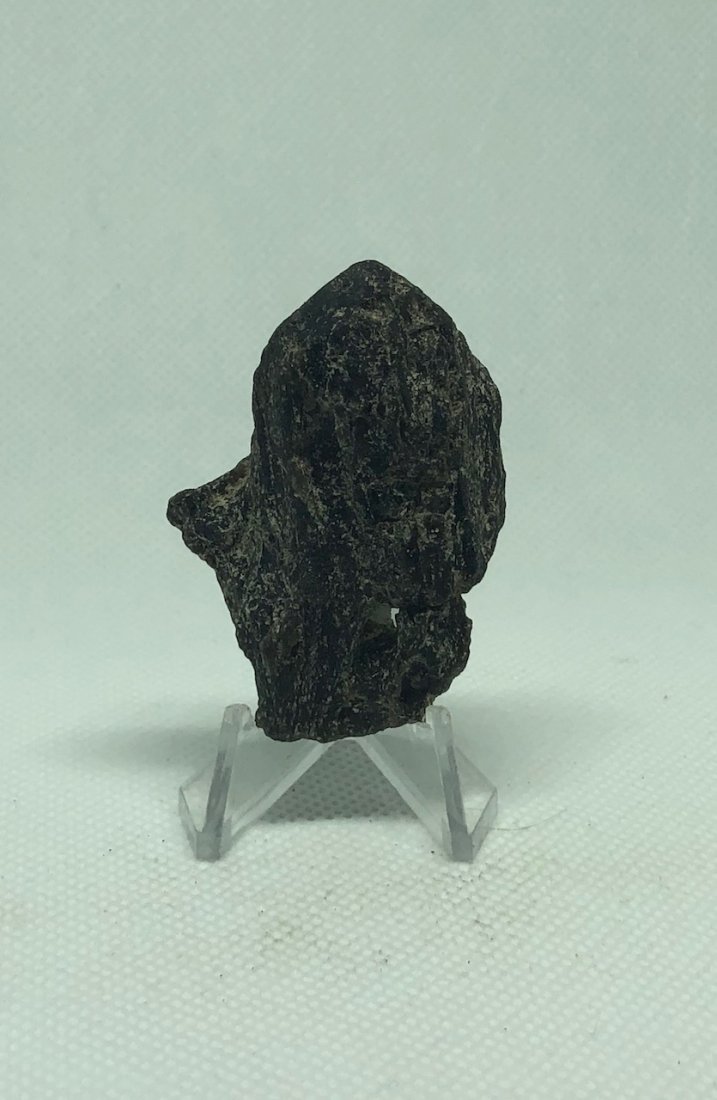Darwin Glass Tektite: Darwin glass is a form of impactite/tektite from the Darwin Crater near Mount Darwin. West Coast, Tasmania. 17 Grams. AS ALWAYS WE OFFER IN-HOUSE SHIPPING VIA USPS FLAT RATE SHIPPING, NO EXTRAVAGANT S