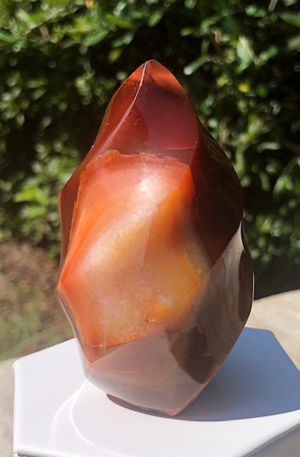 Carnelian Flame: Beautiful carnelian flame with natural cavity in reverse side. Approximately 3.5" x 2".