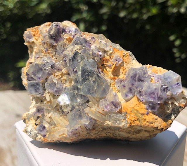 Mongolian Fluorite Specimen: Skeletal fluorite specimen with clear cubes and deep blue inclusions. Includes calcite on matrix. Unique specimen. 3.5 x 2.5".