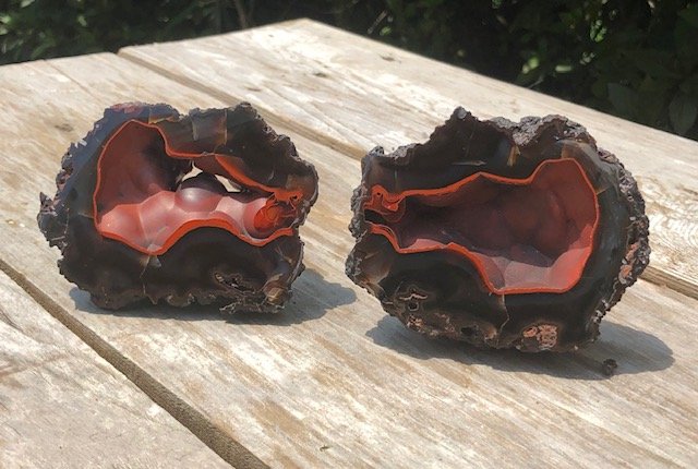 Red Fox Agate Pair: Rarely do we offer pairs. This would be an excellent pair for a high end collection. Red fox agate geode. These rare hematite filled nodules come from Argentina. 91 grams. Argentina. AS ALWAYS WE OFFE