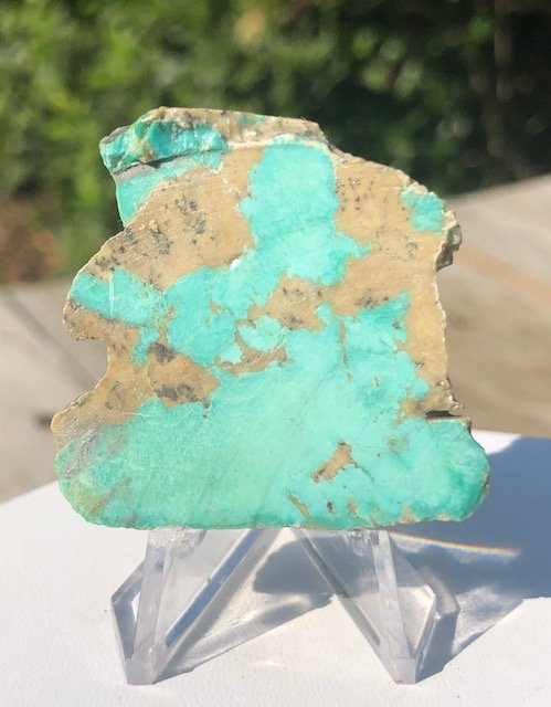 Old #8 Mine Turquoise Specimen: Very nice specimen of old #8 mine turquoise in matrix. This is a very colorful piece and could definitely make a nice specimen or cabochon. It does have some glue residue on the back where the face wa
