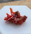 Crocoite Specimen