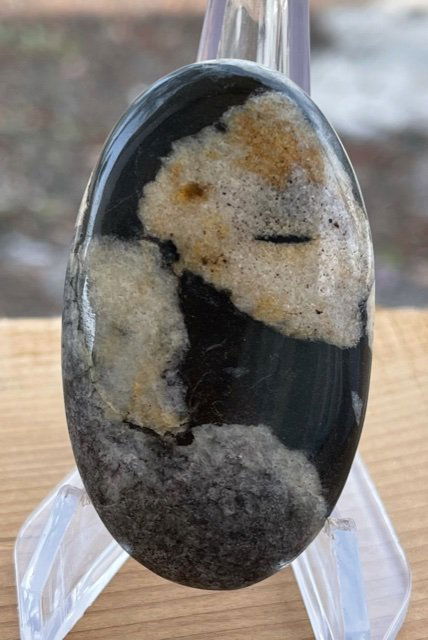 Shell Jasper Palm Stone (1 of 1)