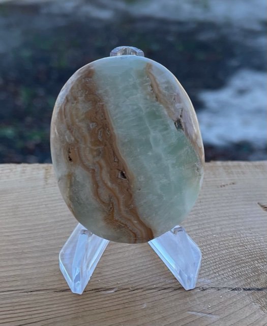 Caribbean Calcite Palm Stone: Caribbean calcite palm stone. 65mm.