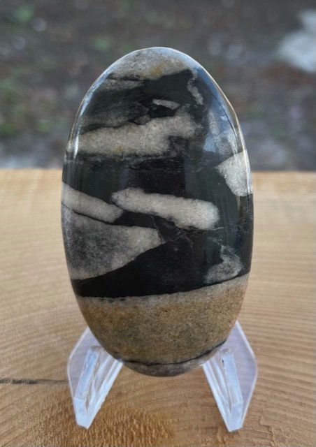 Shell Jasper Palm Stone (1 of 1)