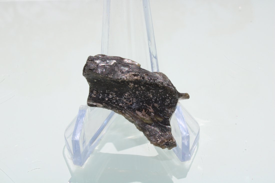 Darwin Glass Tektite: Darwin glass tektite from the Darwin Crater. Australia. Approximately 35mm x 20mm.