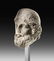 A Head of a Bearded Man, possibly Odysseus - 2