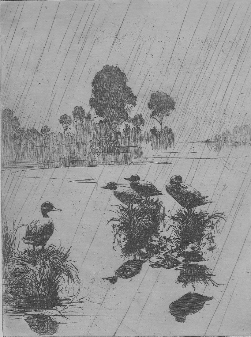 Frank W. Benson, Ducks In The Rain, 1918: Ducks In The Rain. Benson, Frank W. - American (1862 - 1951). Etching, 1918, Paff 147, edition of 100. Signed and numbered in pencil. 8 x 6. Artist Biography: Frank Weston Benson, frequently referred