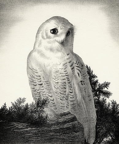 Stow Wengenroth, The Matriarch, 1974 (1 of 1)