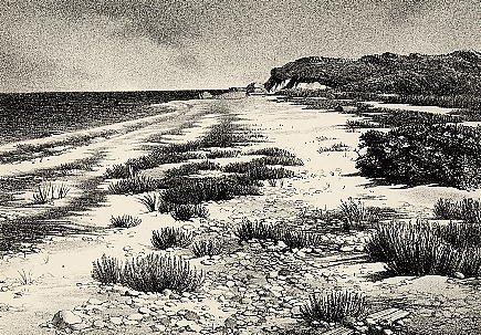 Stow Wengenroth, Sound Shore, 1950 (1 of 1)