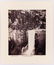 EADWEARD MUYBRIDGE Yosemite Portfolio albumen - 15
