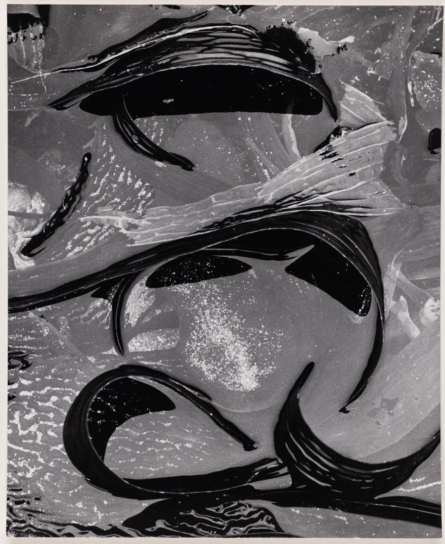 2 BRETT WESTON unsigned prints Mendenhall Glacier (1 of 4)