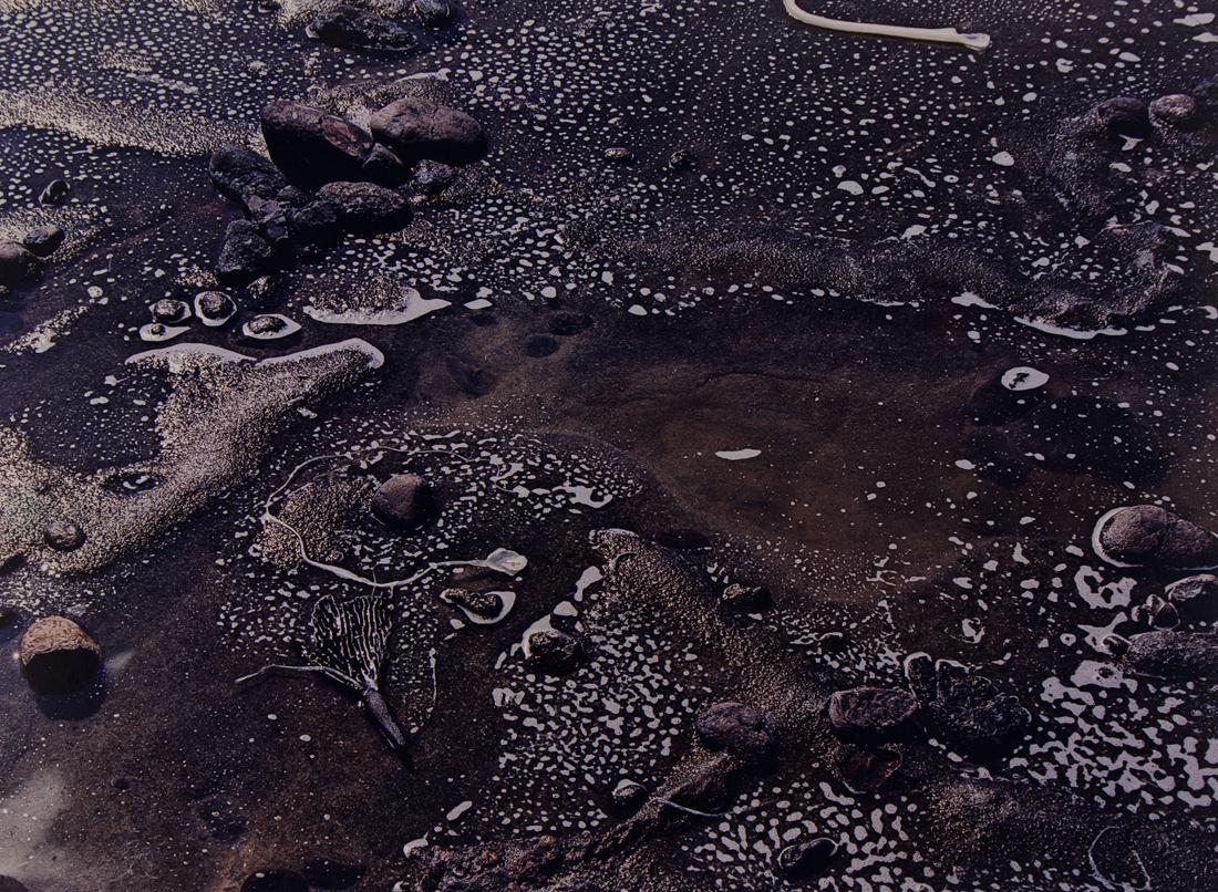 PAUL CAPONIGRO PT LOBOS color dye transfer 1956 (1 of 3)