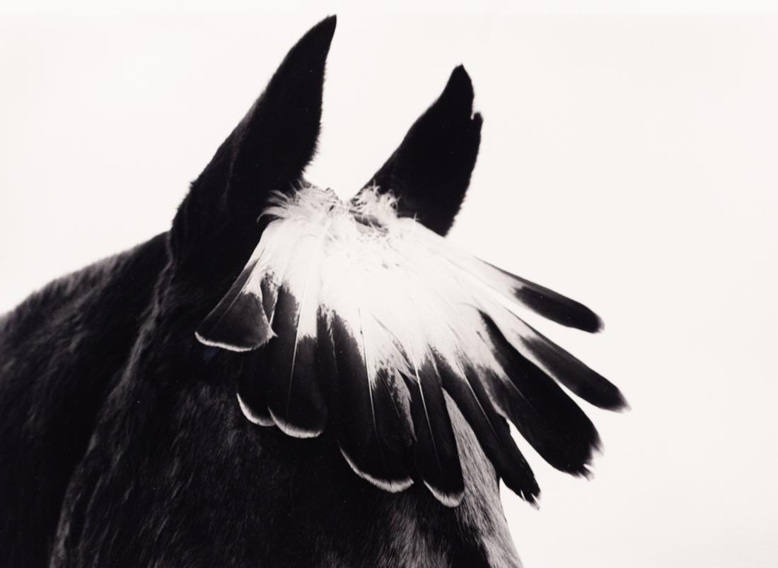 FLOR GARDUNO Indian Mustang w Feathers USA 1993 (1 of 3)