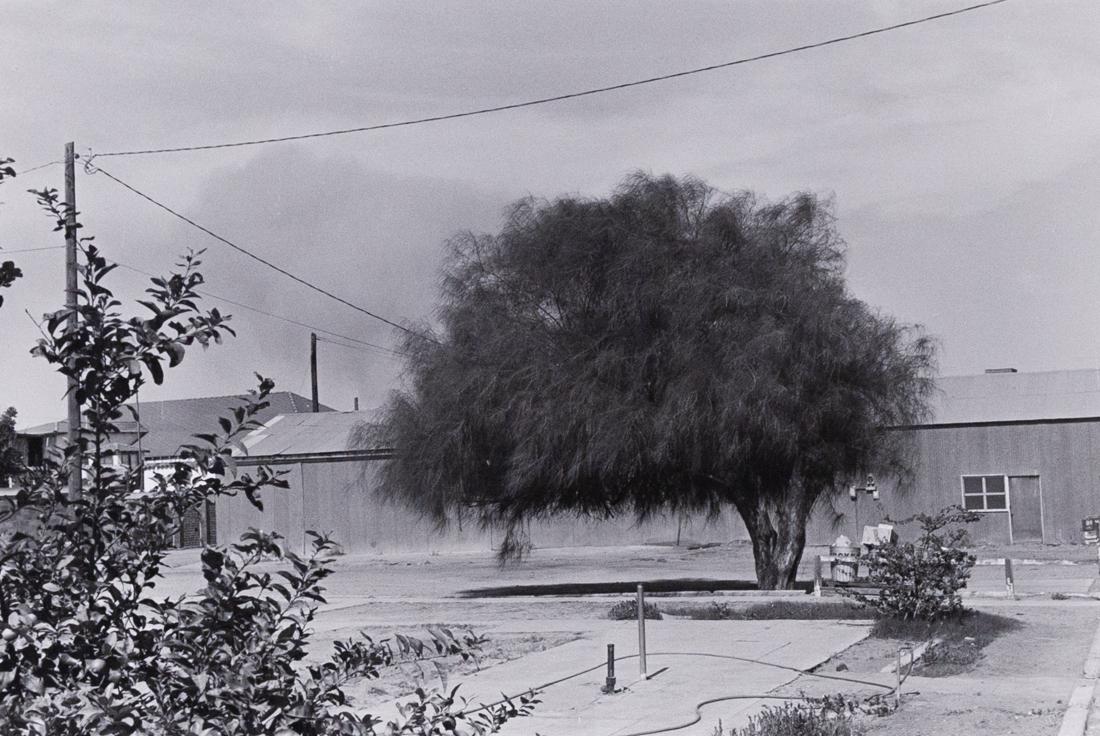 LEE FRIEDLANDER YUMA, ARIZONA 1970 (1 of 3)