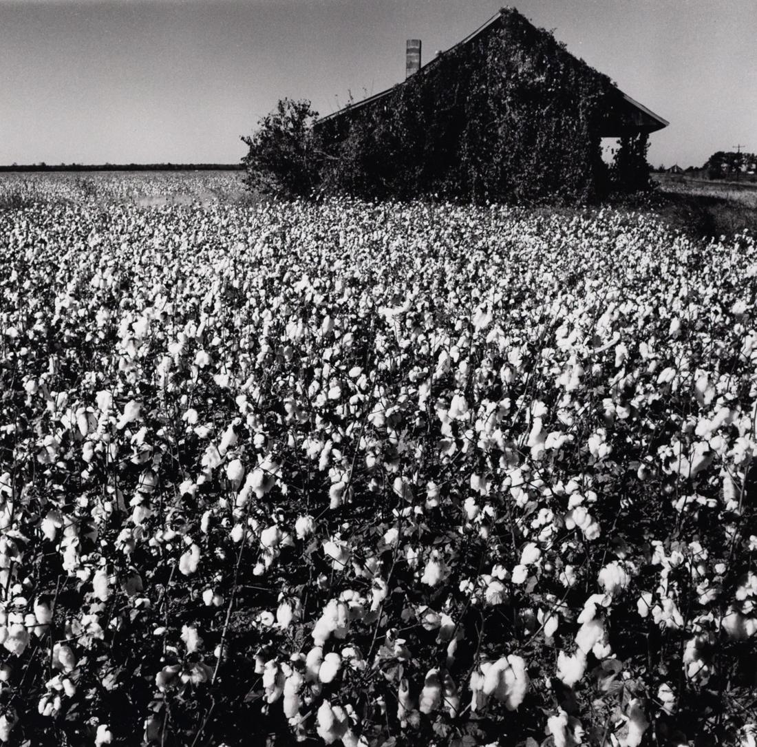 3 KEN LIGHT SCENES IN MISSISSIPPI DELTA  1989 (1 of 9)