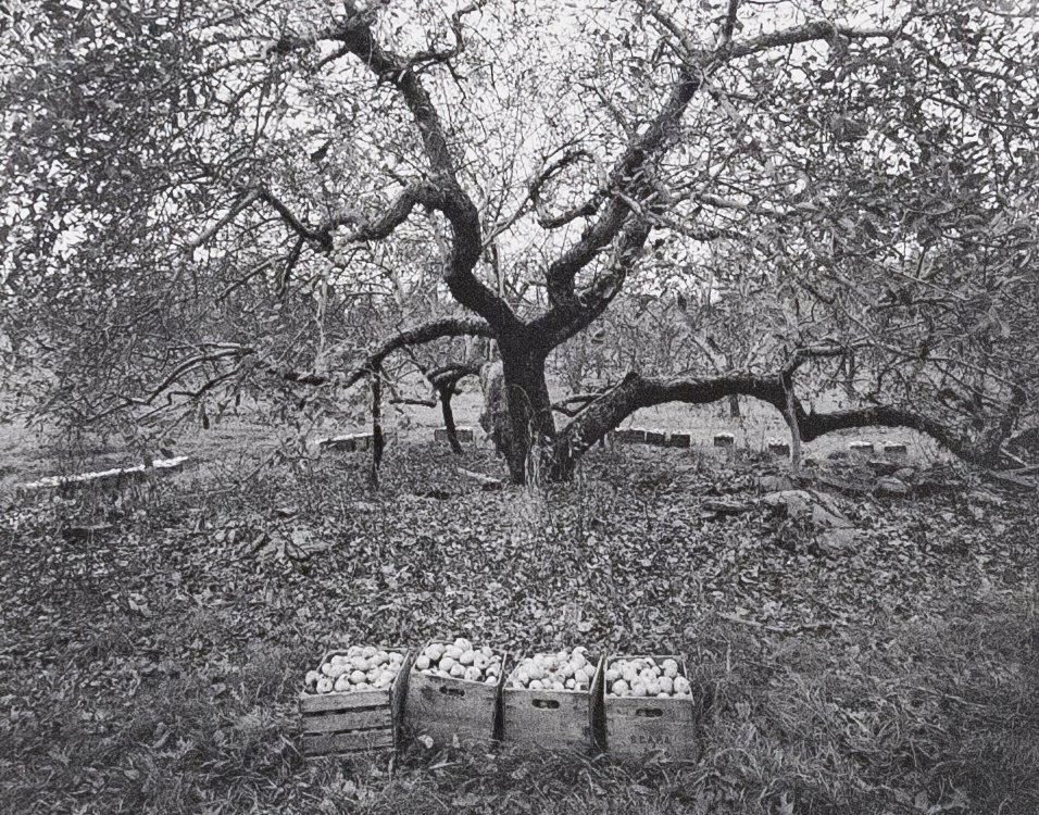 WILLIAM CLIFT A Hudson Landscape Book & Print: WILLIAM CLIFT A Hudson Landscape, 1993, William Clift Editions, Santa Fe, 1st Edition Hardback with Dust Jacket (inscribed), Slipcase and Separate Folder with a signed and titled print Old Rhode Islan
