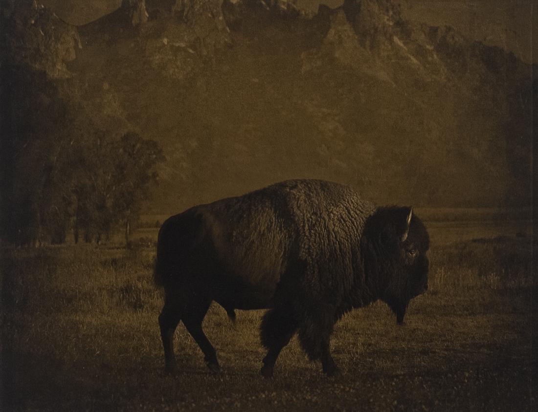 JACK SPENCER Prism Series Buffalo Tetons 2011 Book: JACK SPENCER Prism Series Book with print 1. Book JACK SPENCER Prism Series, 2011. Limited to 280 this being 27/280 copies with only 200 for sale. 95 images in color and black and white, this monograp
