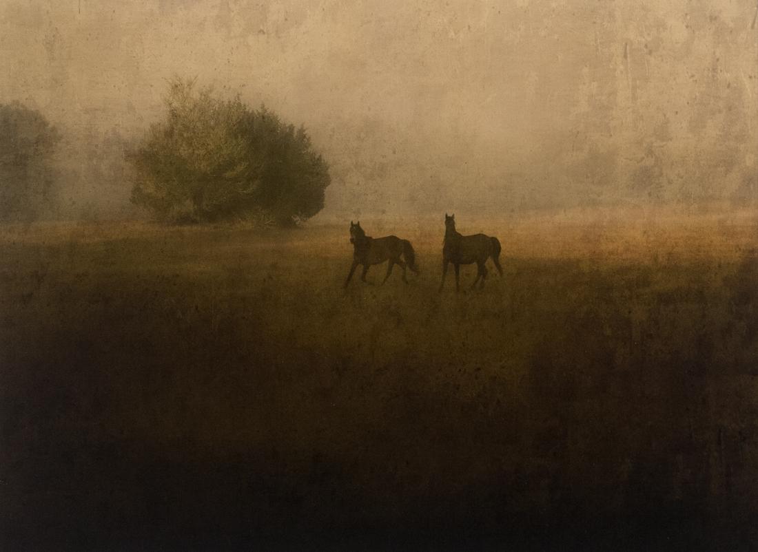 JACK SPENCER Prism Series Book Two Wild Horses Print: JACK SPENCER Prism Series Book with print 1. Book: JACK SPENCER Prism Series, 2011. Limited to 280 this being 169/280 copies with only 200 for sale. 95 images in color and black and white, this monogr