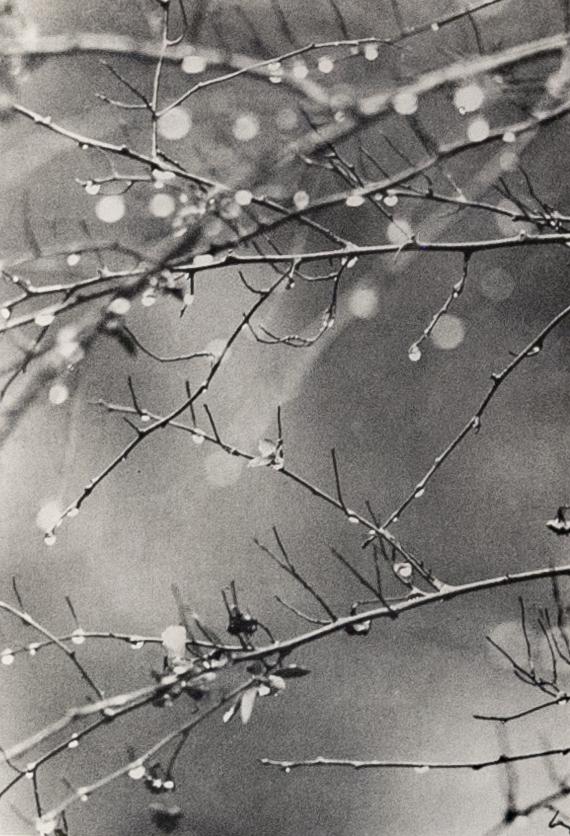 WALDEN, Edward Steichen Illustrations Ltd Ed Club: HENRY DAVID THOREAU Walden or, Life in the Woods, 1936. Limited Editions Club illustrated by Edward Steichen, edition of 1500 copy number 47 Signed by Steichen and with an Introduction by Henry Seidel