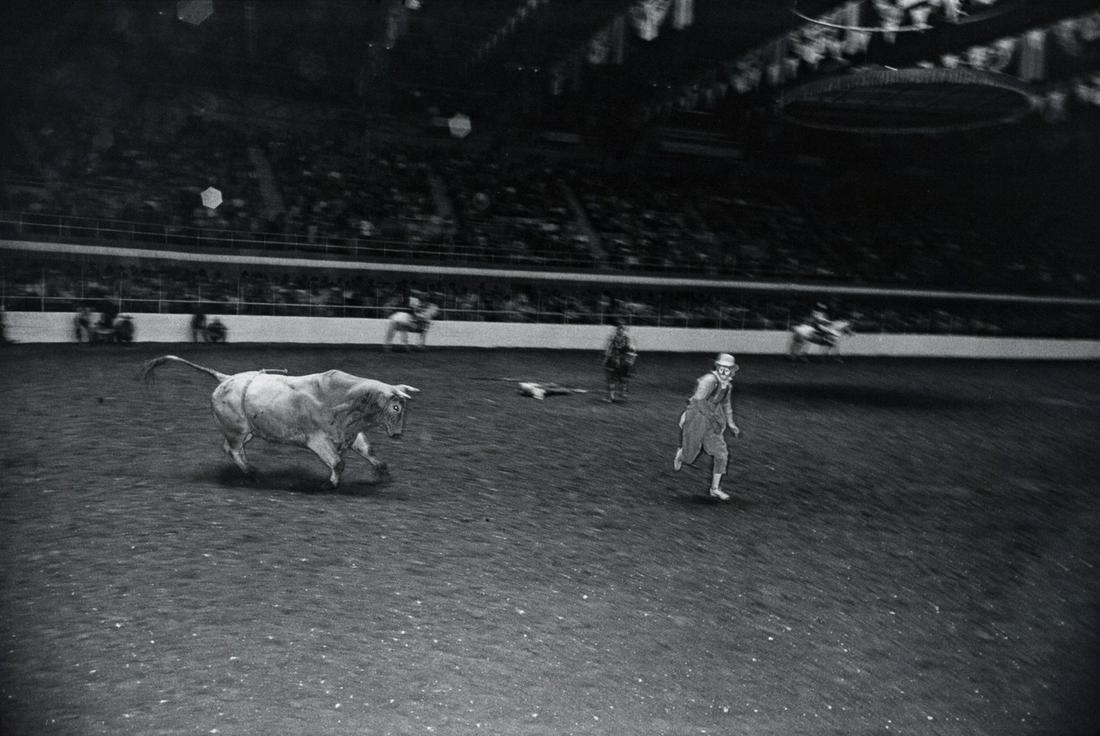 GARRY WINOGRAND Ft Worth Stock Show 1975 (1 of 3)