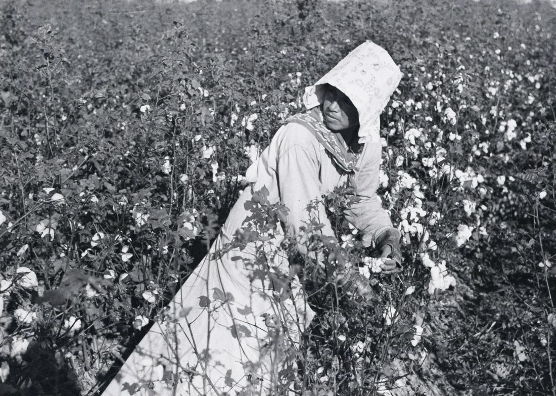 MARION POST WOLCOTT Mexican Laborer picking Cotton: MARION POST WOLCOTT, Mexican woman, seasonal labor contracted for by planters, picking cotton on Knowlton Plantation, Perthshire, Mississippi Delta, Mississippi, signed, 1939, 8.2x11.5", gelatin silve