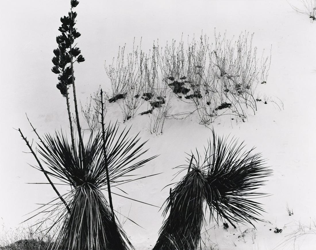 BRETT WESTON White Sands, NM 1946: BRETT WESTON, White Sands, New Mexico, 1946, 10.5x13.2", gelatin silver print, printed c. 1970s. Signed in pencil on print recto below image, inscribed in pencil on print verso: Dunes and Brush / unda