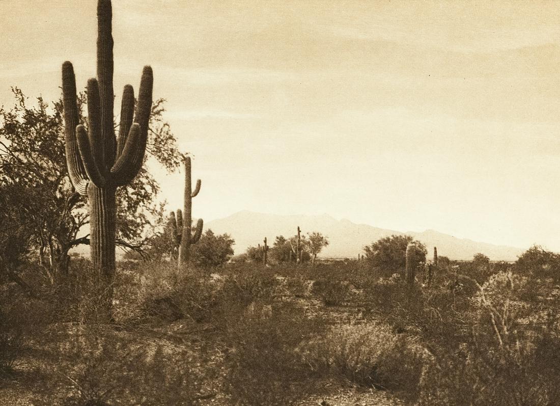 4 EDWARD CURTIS Desert Landscapes 1903: 1. EDWARD CURTIS, Pima Land, 1907, 5.25x7.25" proof photogravure on thin Holland Van Gelder paper, for Volume II of The North American Indian (Tribes of Arizona) paper normally used for proofing and p