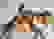 item-101415572=2
