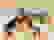 item-101415572=5