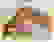 item-101415594=4