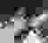 item-101415707=2