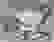 item-101415751=2